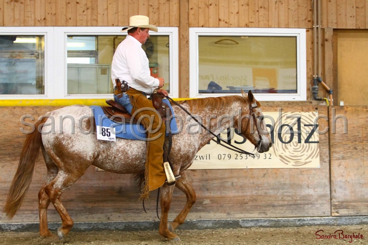 31-ApHC OWP_028.jpg